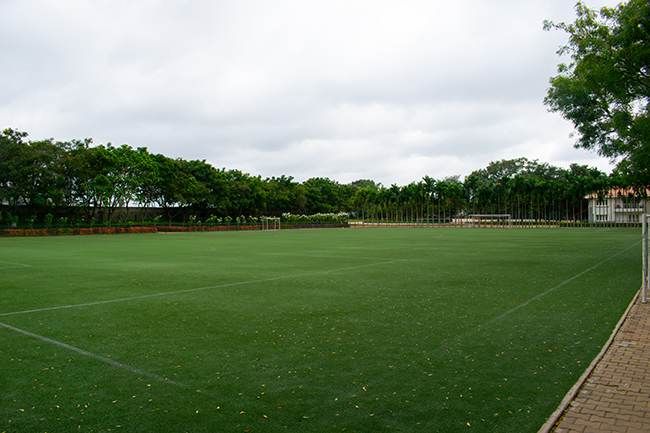 soccer-turf